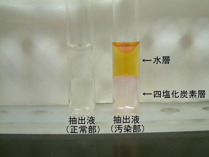 抽出液に試薬を加えた写真。試薬が沈み液が2層化している