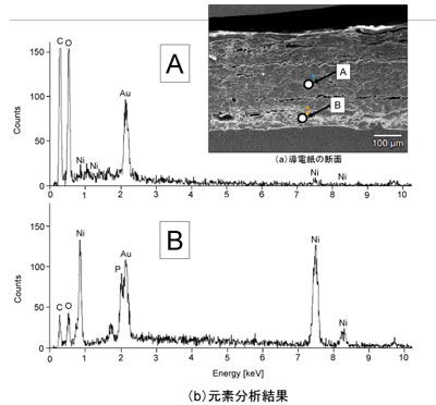 SEMによる断面観察及び元素分析(EDX)の図
