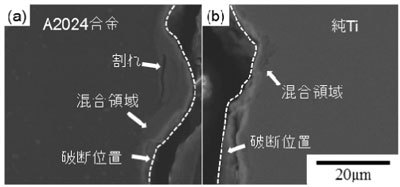 引張試験後の破断部断面のSEM像の画像