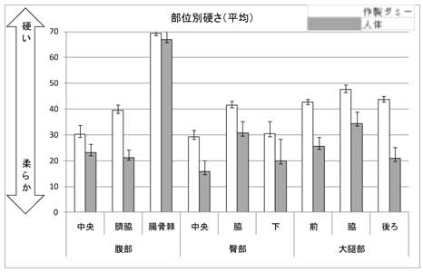 作製ダミーと人体の硬さ分布の図