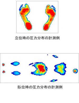 シート型圧力分布測定器の計測例