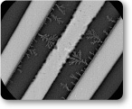 小型試料（半導体内部のデンドライト）の写真
