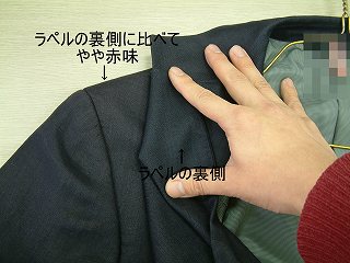 全体を観察している写真