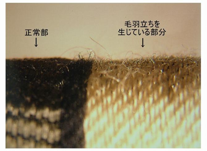 毛羽立ち部の顕微鏡写真