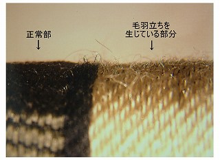 毛羽立ち部の顕微鏡写真