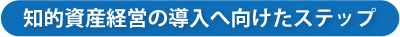 知的資産経営の導入へ向けたステップ