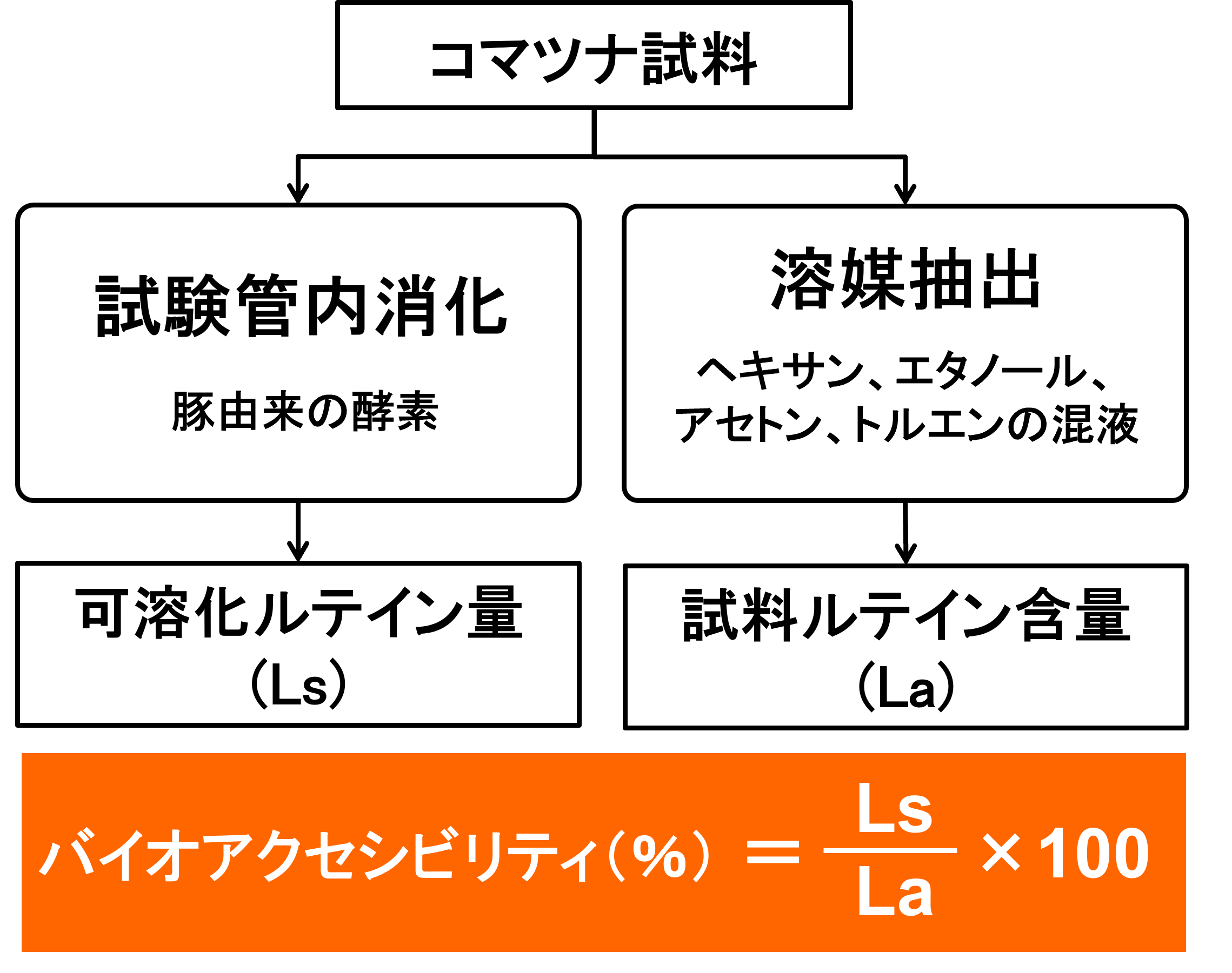 バイオアクセシビリティ　評価の流れの図