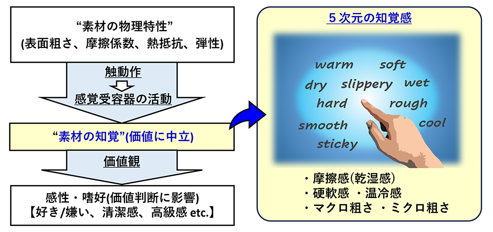 図1　触認知理論に基づく「触り心地」の考え方の図